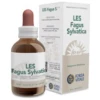 Forza Vitale- LES FAGUS SYLVATICA haya 50ml.