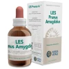 Forza Vitale- LES PRUNUS AMYGDALUS almendro 50ml.