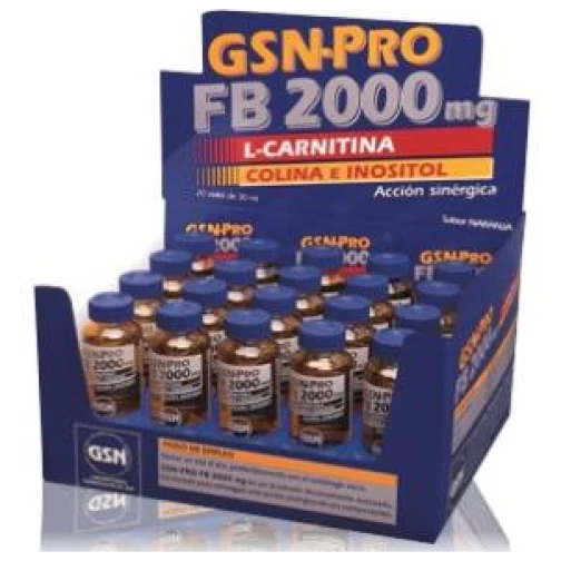 Gsn- GSN-PRO FB-2000mg 20viales (carnitina) 30 ml