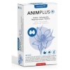 Intersa- ANIMPLUS 42cap.