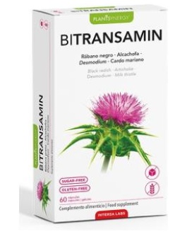 BITRANSAMIN 60cap. – Intersa