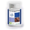 Plameca- HARPAGOFITO CAPSUDIET 40cap.