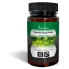 Plameca- GINKGO BILOBA CAPSUDIET 40cap.