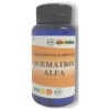 Alfa Herbal- QUEMATROL ALFA 60cap.