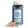 Bonusan- ECHINACEA PURPUREA ANGUSTIFOLIA extracto 60vcap.